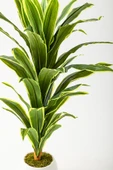 Güleç Yapay Çiçek Yapay Dracaena Fragrans Ağacı 100 Cm Beyaz Küre Saksı thumbnail 3