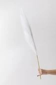 Güleç Yapay Çiçek Yapay Pampas Çiçeği 100 Cm Tek Dal Beyaz thumbnail 2