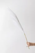 Güleç Yapay Çiçek Yapay Pampas Çiçeği 100 Cm Tek Dal Beyaz thumbnail 1