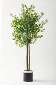 Güleç Yapay Çiçek Yapay Benjamin Ağacı 160 Cm Siyah Gümüş Metal Saksı thumbnail 1