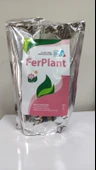 FERPLANT 1 KG %6 EDDHA ŞELATLI DEMİR GÜBRESİ - 1