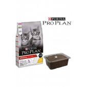 Kitten Junior Tavuklu Yavru Kedi Maması Dökme 1 Kg Şeffaf Paket - 1