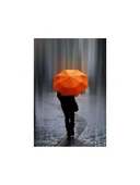 Eleven Market Tam Otomatik Çanta Boy Renkli Şemsiye thumbnail 5