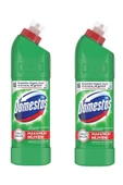 Dağ Esintisi Çamaşır Suyu 750 ml X2li Set - 1