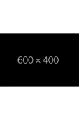 AXE ERKEK SPREY DEODORANT JUNGLE FRESH 48 SAAT ETKİLEYİCİ KOKU 150 ML - 2
