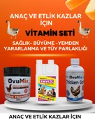 Etlik ve Anaç KAZLAR için Büyütme-Sağlık ve Tüy Parlaklık  Seti Büyük Boy - 1
