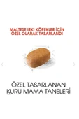 Royal Canin Maltese Yetişkin Kuru Köpek Maması 1.5kg - 3