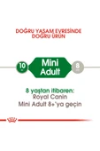 Royal Canin Mini Adult Küçük Irklar Için Yetişkin Kuru Köpek Maması 4kg - 3