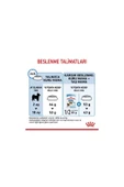 Royal Canin Xsmall Puppy Çok Küçük Irklar Için Yavru Kuru Köpek Maması 3kg - 6