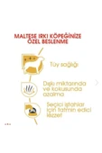 Royal Canin Maltese Yetişkin Kuru Köpek Maması 1.5kg - 4