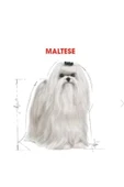 Royal Canin Maltese Yetişkin Kuru Köpek Maması 1.5kg - 2
