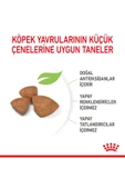 Royal Canin Xsmall Puppy Çok Küçük Irklar Için Yavru Kuru Köpek Maması 1.5kg - 5