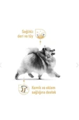Royal Canin Pomeranian Kuru Köpek Maması 3kg - 3