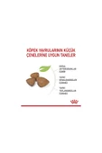Royal Canin Xsmall Puppy Çok Küçük Irklar Için Yavru Kuru Köpek Maması 3kg - 4