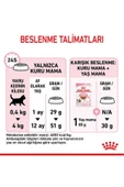 Royal Canin Yavru Kediler Için Kuru Kedi Maması 4kg - 6