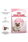 Royal Canin 1 Kg - Kitten Yavru Kedi Maması (1 KG PAKETLENMİŞ AÇIK MAMA) - 4