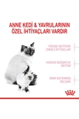 Royal Canin Mother&babycat Gebe/laktasyondaki Anne Ve Yavru Kedi Için Kuru Kedi Maması 2kg thumbnail 7