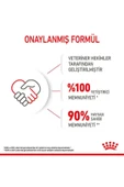 Royal Canin Yavru Kediler Için Kuru Kedi Maması 4kg - 5