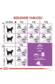 Royal Canin Sterilised37 Kısırlaştırılmış Kediler Için Kuru Kedi Maması 4kg - 5
