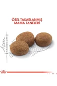 Royal Canin Sterilised37 Kısırlaştırılmış Kediler Için Kuru Kedi Maması 4kg - 4
