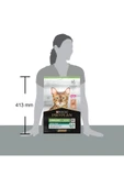 Pro Plan Proplan Kısırlaştırılmış Somonlu Kuru Kedi Maması 3 kg - 4
