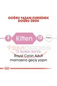 Royal Canin Yavru Kediler Için Kuru Kedi Maması 10kg - 4