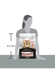 Pro Plan Adult Somonlu Yetişkin Kedi Maması 3 Kg - 5