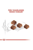 Royal Canin Mother&babycat Gebe/laktasyondaki Anne Ve Yavru Kedi Için Kuru Kedi Maması 4kg - 3