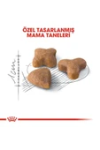 Royal Canin Sensible33 Sindirim Hassasiyeti Olan Kediler Için Yetişkin Kuru Kedi Maması 2kg - 4