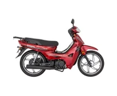 Mondıal SFC Mini 50 EC Cub Motosiklet - 2025 Model - 2