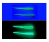 Spiinx Sandworm Lrf Silikon 6Cm 18P Glowlu Renk: Lemonade thumbnail 3