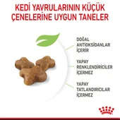 ROYAL CANİN KİTTEN 4 KG - 3
