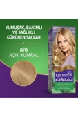 Naturals Saç Boyası Açık Kumral 8/0 2x Paket - 4