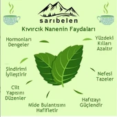 Doğalsan Yulaf kepeği 400 gr + yulaf unu 1kg +kıvırcık nane çayı doğal sağlık seti - 2