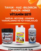 Tavuk -Kaz - Bıldırcın- Keklik -Hindi icin Vitamin Seti ( Saglik -Büyüme-Tüy Parlaklığı için ) Büyük Boy - 1