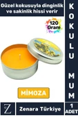Özel Metal Kutu Arınma Huzur Meditasyon Yoga Esans Sakinlik Veren Dekoratif Oda Kokusu Mum 120 Gram - 1