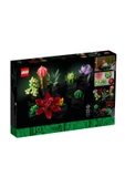 Creator Sukulentler/ Succulents 10309 - 3
