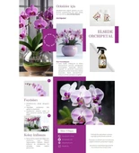 ELSEDE Orchipetal Sprey Orkide Bitki Besini thumbnail 2