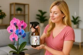 ELSEDE Orchipetal Sprey Orkide Bitki Besini thumbnail 4