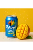 Sparkling Mango / Mango Meyveli Gazlı Içecek 330ml - 1