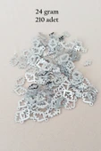 Oya Abiye Bileklik Kolye Pleksi Metalik Plastik Pul Gümüş Renk 24 gram 210 adet - BNC573 - 1