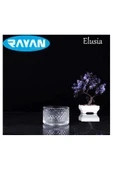Rayan Elusia Stars Çizgili Tekli Cam Çerezlik - 1