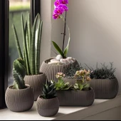 Omnipazar KRS Mercan Dekoratif Sukulent Kaktüs Plastik Saksı Takımı 6'lı Set Kahverengi thumbnail 1