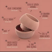 Omnipazar KRS Mercan Dekoratif Sukulent Kaktüs Plastik Saksı Takımı 5'li Set Soft Pembe thumbnail 4