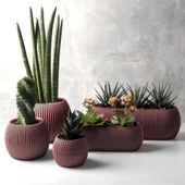 Omnipazar KRS Mercan Dekoratif Sukulent Kaktüs Plastik Saksı Takımı 5'li Set Soft Pembe thumbnail 1