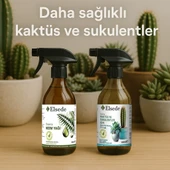 ELSEDE İkili Bakım Seti - Cactiva Sprey Kaktüs Sukulent Bitki Besini Ve Cleance Sprey Neem Yağı thumbnail 1