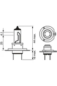 Bosch 12V H7 AMPUL PURE LİGHT ÇİFTLİ FAR AMPULU - 3