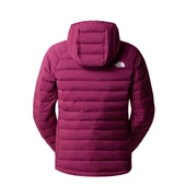 The North Face Kadın Kaz Tüyü Mont NF0A7UK5I0H1 Mor - 2