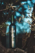 Galli Premium Soğuk Sıkım Natürel Sızma Zeytinyağı 500 ml - 3