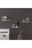 Doğal Modern Organizer Düzenleyici 3'lü Oval Dekoratif Kitaplık Banyo Mutfak Duvar Rafı - 1